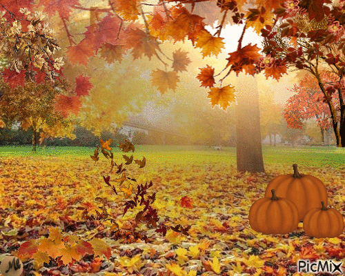 Más otoño - Δωρεάν κινούμενο GIF