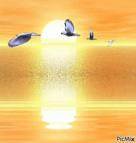 sun birds  ,digital art by tonydanis - Δωρεάν κινούμενο GIF