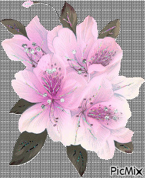цветок - Безплатен анимиран GIF