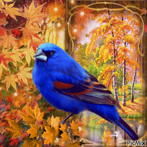 Birds in autumn - GIF เคลื่อนไหวฟรี
