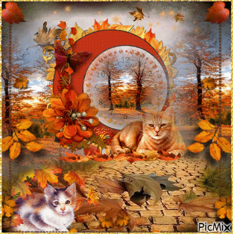 Les chats aiment l'automne - Бесплатный анимированный гифка