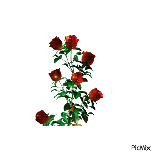 rosy - Gratis animeret GIF