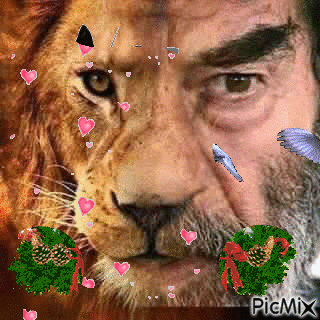 صدام اسد زمانه - Animovaný GIF zadarmo