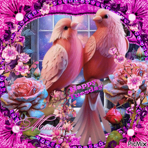 Contest ! Mardi, oiseau, rose - GIF animé gratuit