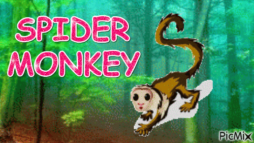 Spider Monkey - Free animated GIF - PicMix