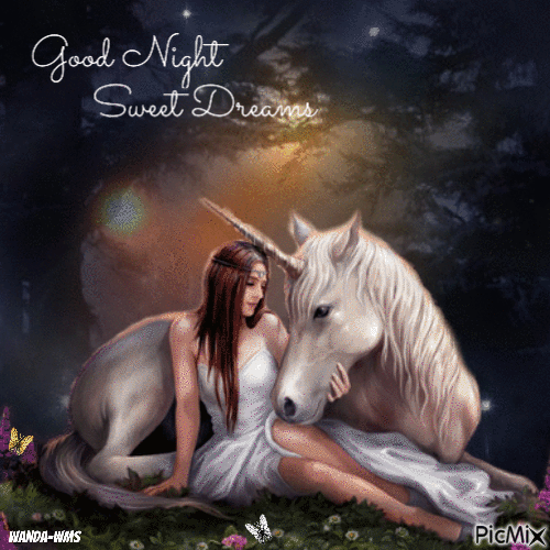Woman -unicorn-night-sweet dreams - Zdarma animovaný GIF