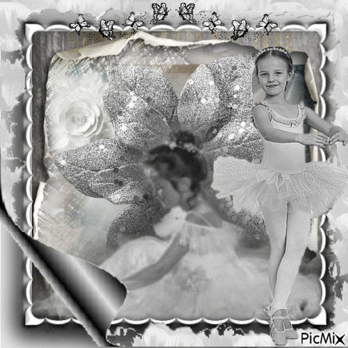 ballerine sous un coulis de blanc et gris - Free animated GIF