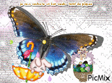 envolée de papillions à paques - Animovaný GIF zadarmo