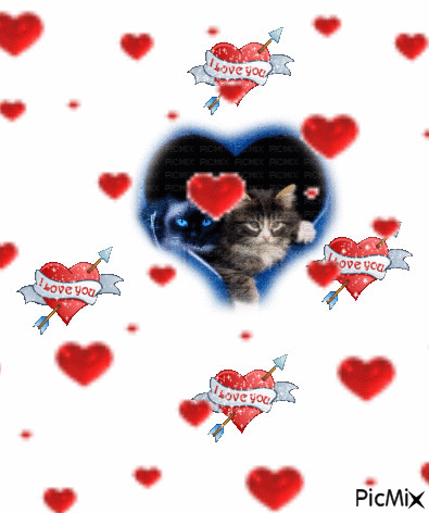 amours de chats - Besplatni animirani GIF