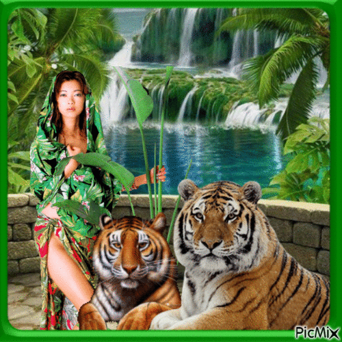Die Frau und ihre Tiger - Δωρεάν κινούμενο GIF