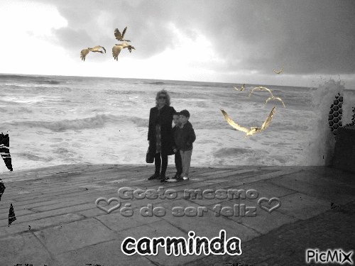 carminda - GIF animé gratuit