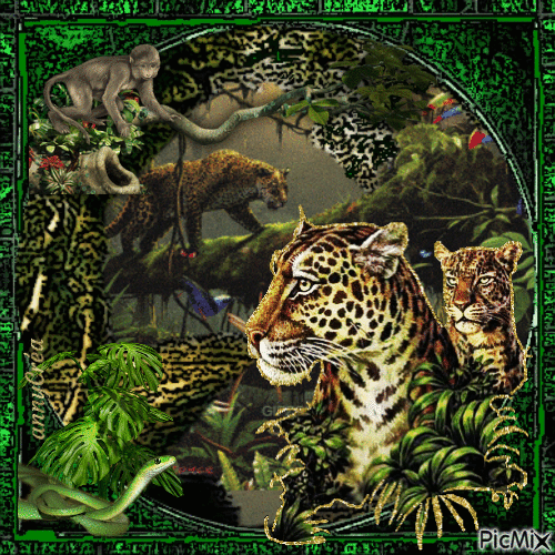 Jungle - Nemokamas animacinis gif