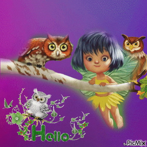 owl - Darmowy animowany GIF