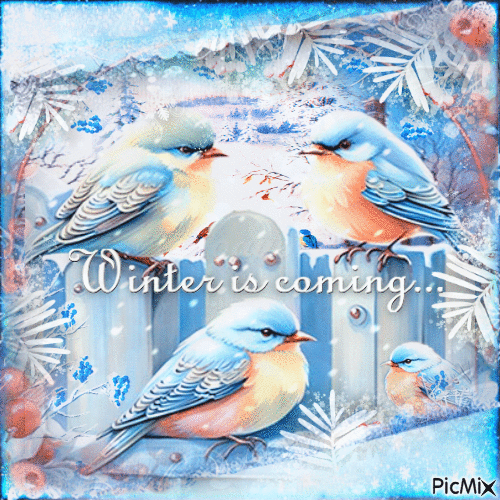 Winter bird - GIF animé gratuit