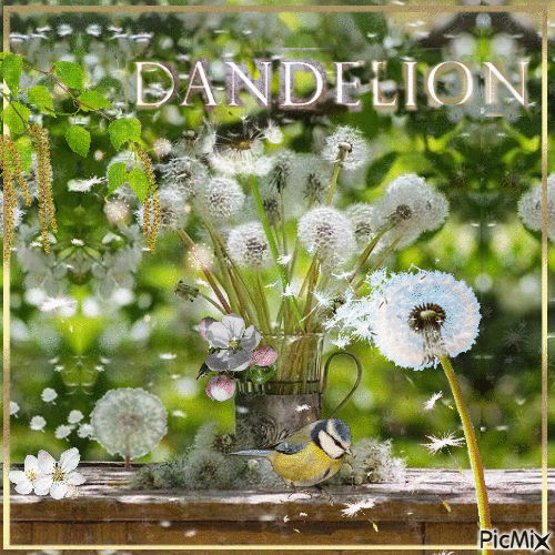 Dandelion Dreams - GIF animado gratis