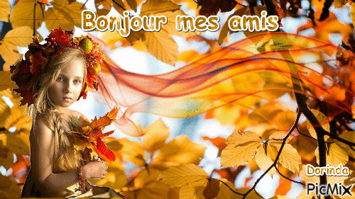 Douceur d'automne. - 免费动画 GIF