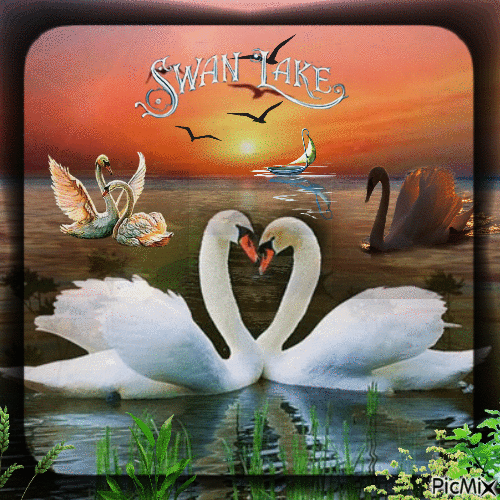 El lago de los cisnes - Darmowy animowany GIF