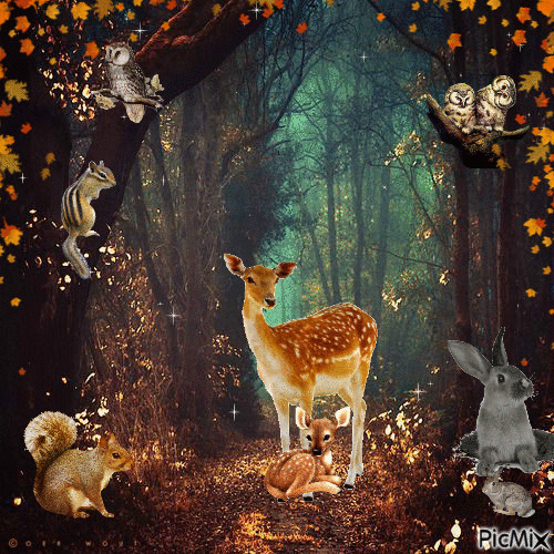FALL IN THE WOODS. THERE ARE SQUIRRELS, OWLS, DEER, AND RABBITS. SPARKLING STARS ALL AROUND, AND BLOWING LEAVES. - Animovaný GIF zadarmo