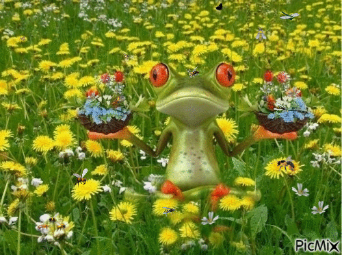 grenouille fleurie - GIF animé gratuit