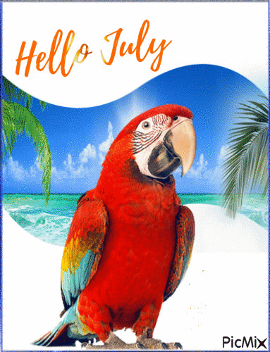hello july - Free animated GIF