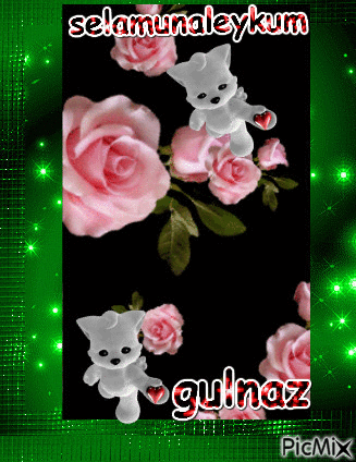 GULNAZ - Безплатен анимиран GIF