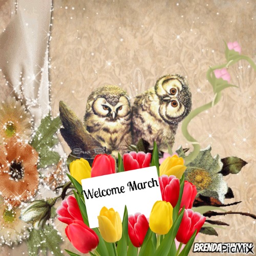 march owl - bezmaksas png