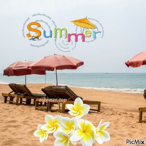 Summer.! - безплатен png