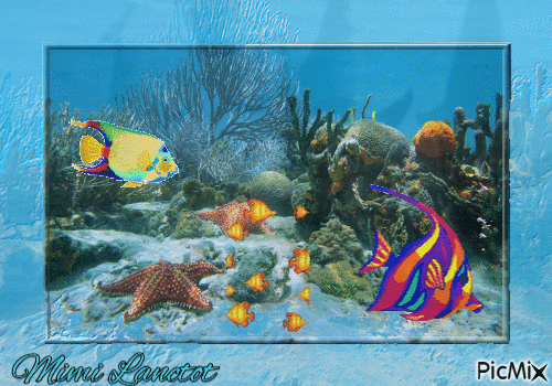 poissons - Ingyenes animált GIF