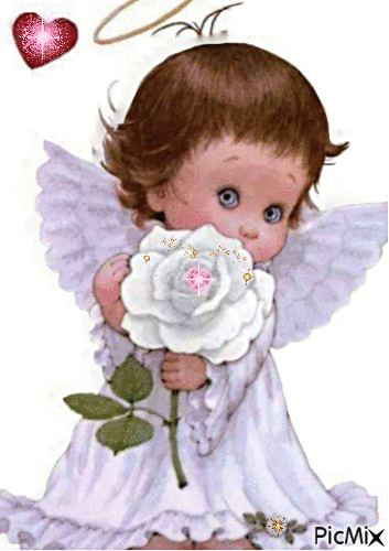 aniołek z różą - Darmowy animowany GIF