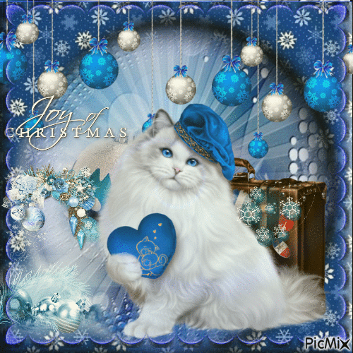 Chat de Noël tons bleu - GIF animado grátis