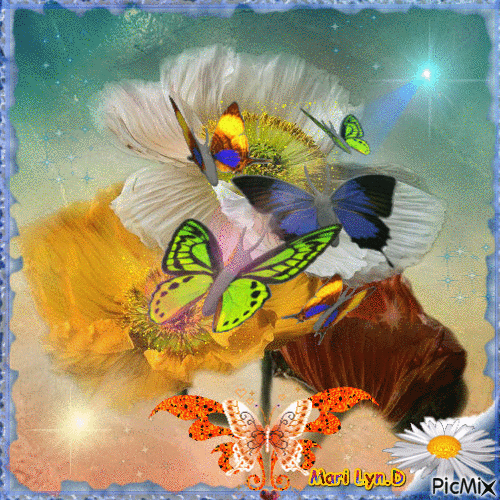 papillonnage - GIF animé gratuit