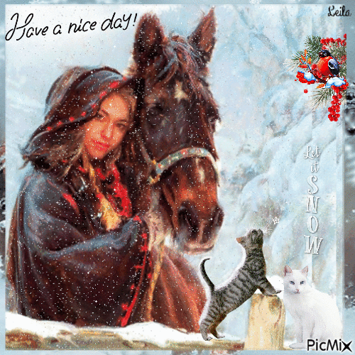 Have a nice day. Woman. Horse, cats - GIF เคลื่อนไหวฟรี