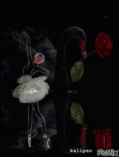 Swan Lake - Darmowy animowany GIF