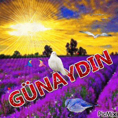 GÜNADIN - GIF animasi gratis