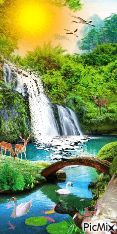 Parque natural - Безплатен анимиран GIF