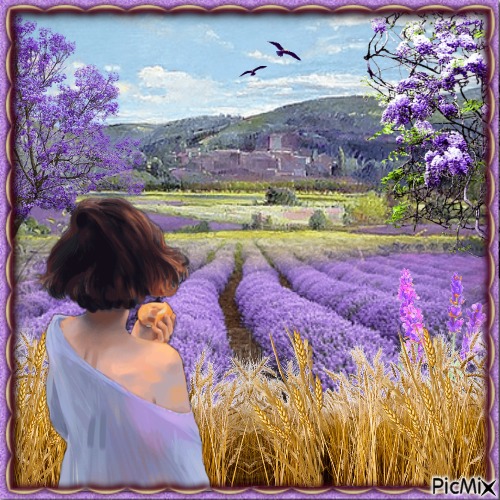 Weizen- und Lavendelfeld - darmowe png