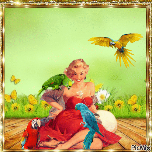 A girl with four parrot - GIF animé gratuit