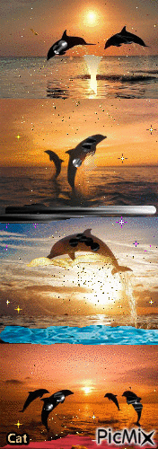 delfines - Bezmaksas animēts GIF