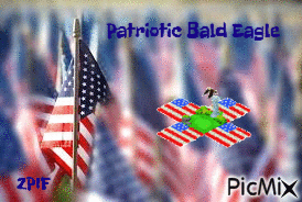 Patriotic Bald Eagle - Gratis animeret GIF