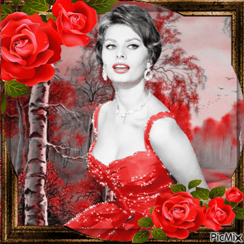 Sophia Loren - GIF animasi gratis