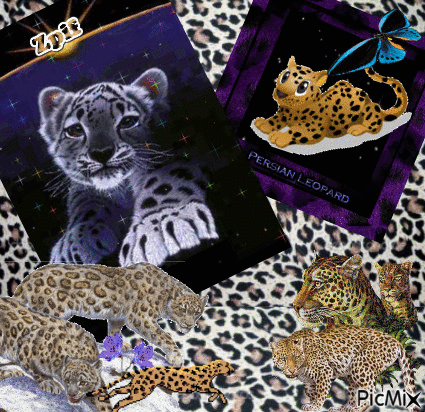 Persian Leopard - GIF animasi gratis