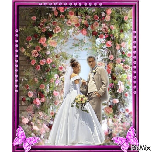 wedding picture - ücretsiz png