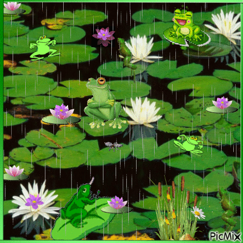 Лягушачья болотная радость - Animovaný GIF zadarmo