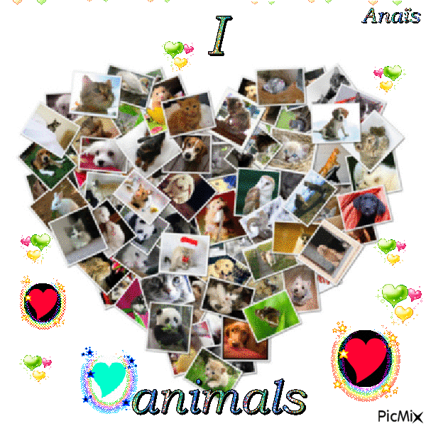 titre : love Animals ! - GIF animasi gratis