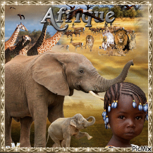Afrique - Ingyenes animált GIF