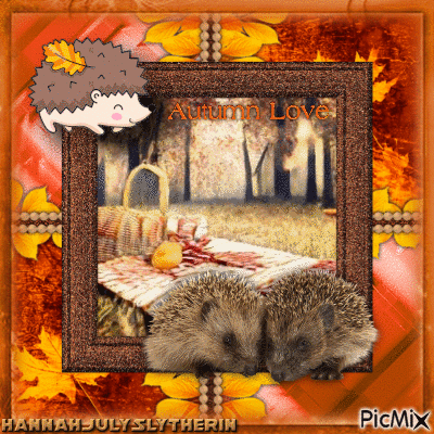♥Hedgehogs Romantic Picnic in Autumn♥ - Free animated GIF