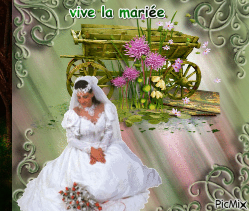 vive la mariée - Δωρεάν κινούμενο GIF