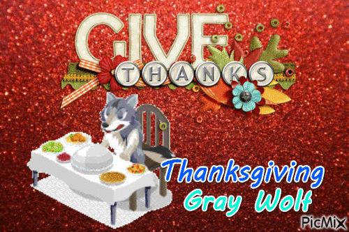 Thanksgiving Gray Wolf - Free animated GIF