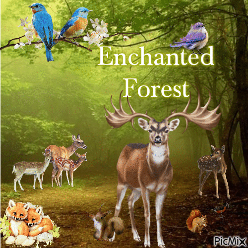 The Enchanted Forest - GIF animate gratis