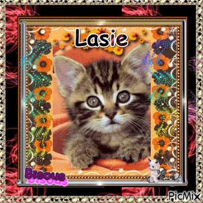 kdo pour lasie ♥♥♥ - Безплатен анимиран GIF